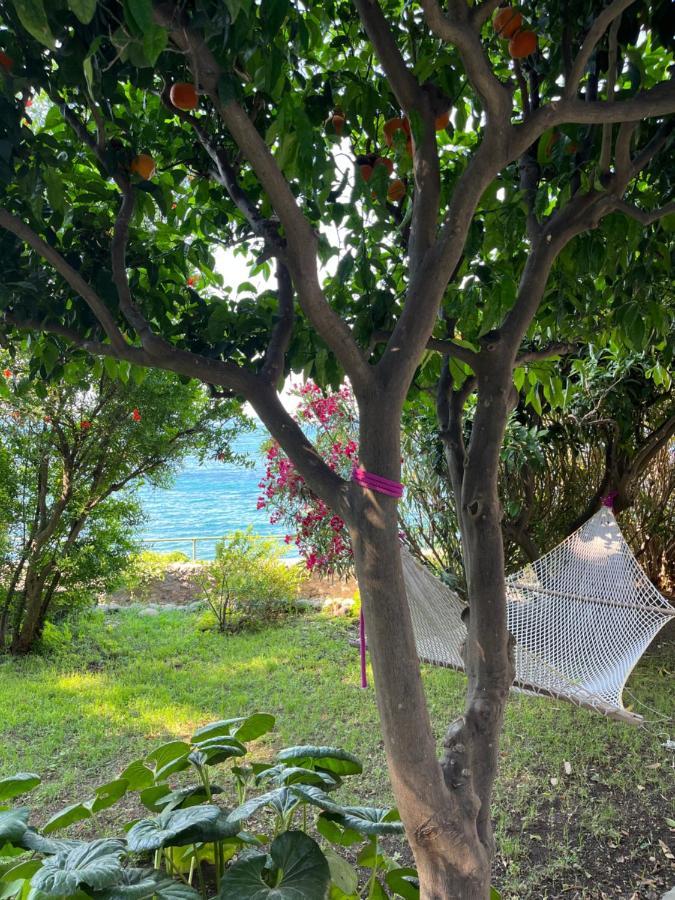 Nelinda Waterfront Accommodation カザミッチョラ・テルメ エクステリア 写真